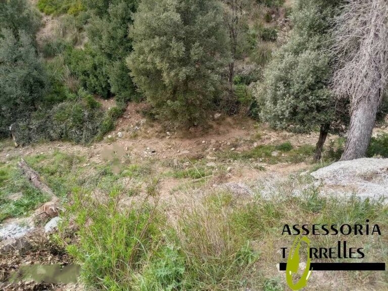 Terreno-Ref.592