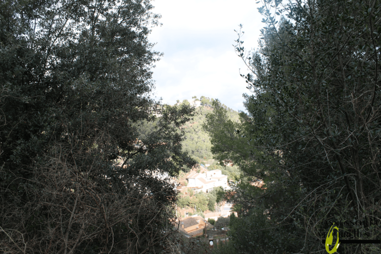 Terreno-Ref.379