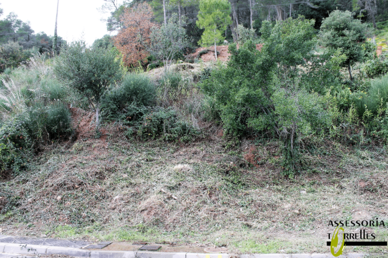 Terreno-Ref.407