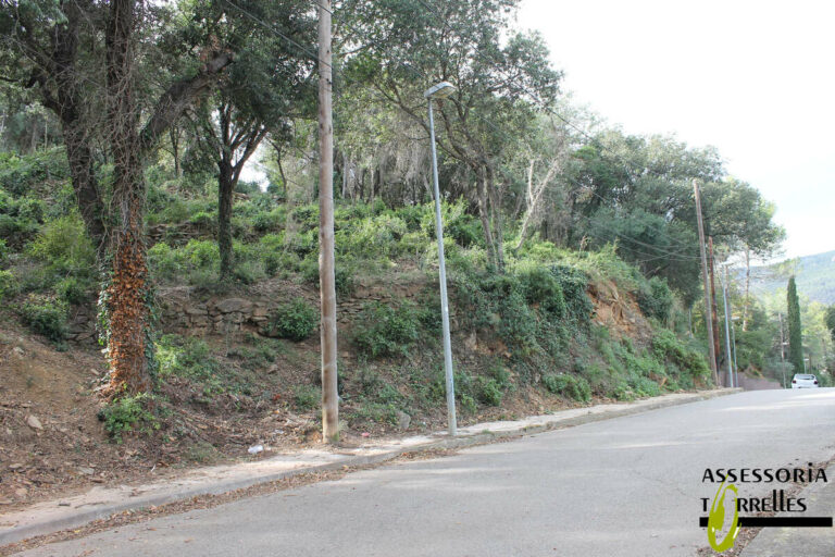 Terreno-Ref.637