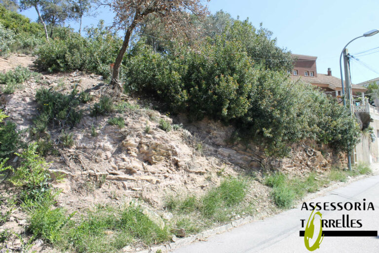 Terreno-Ref.656