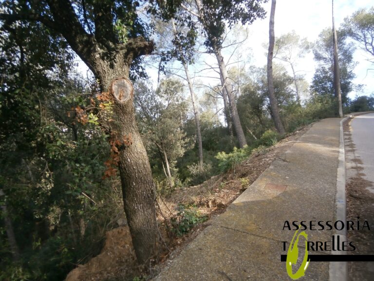 Terreno-Ref. 597