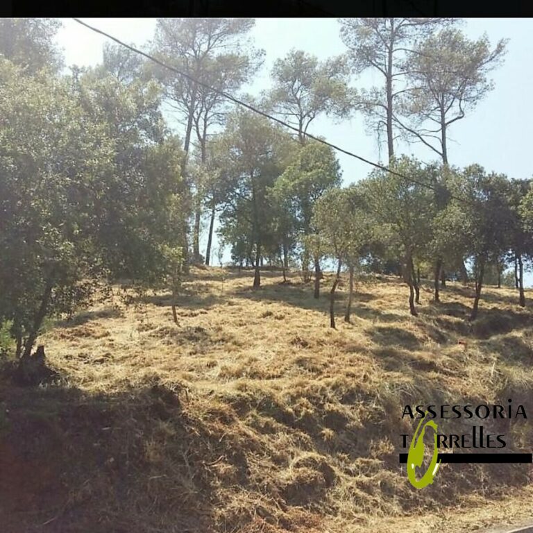 Terreno-Ref.358